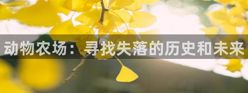 午夜电影天堂在线