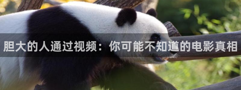 成人午夜影院在线播放
