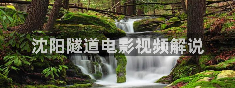 午夜羞羞的漫画：沈阳隧道电影视频解说