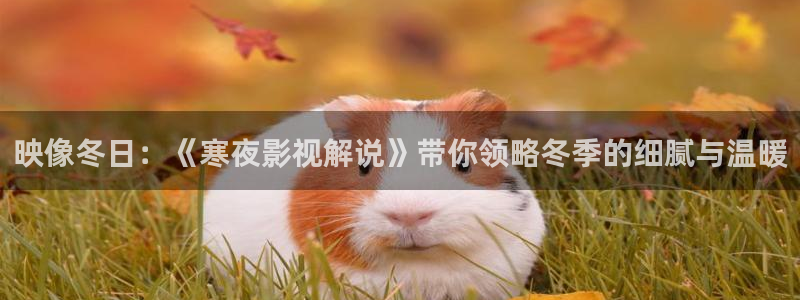 午夜毛片影院